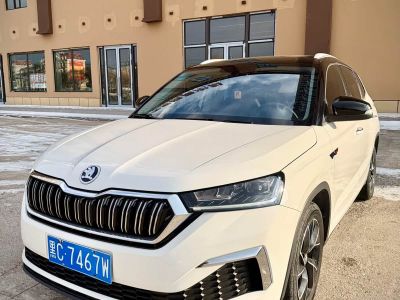 Skoda Kamiq, 2022 г., белый, 29 000 км Skoda 柯米克, 2022 г., белый, 37 000 км