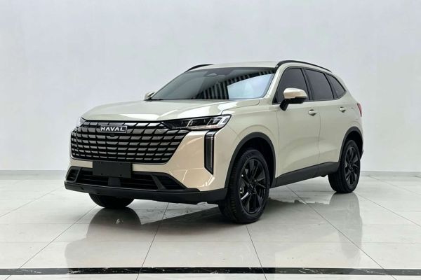 Haval H6, 2023 г., серебристый / серый, 20 000 км Haval H6, 2024 г., шампань / коричневый, 24 800 км