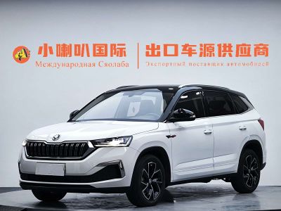 Skoda Kamiq, 2023 г., белый, 30 000 км Skoda 柯米克, 2023 г., белый, 36 200 км