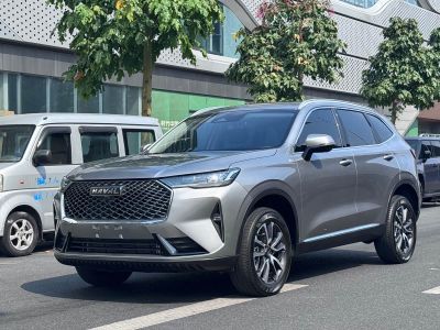 Haval H6, 2023 г., серебристый / серый, 20 000 км